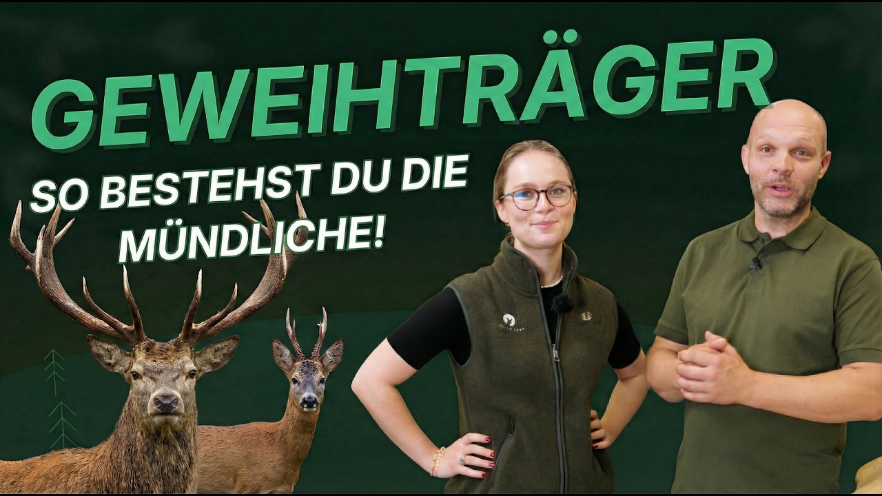 Geweihträger in der Übersicht - Fit für die Jägerprüfung