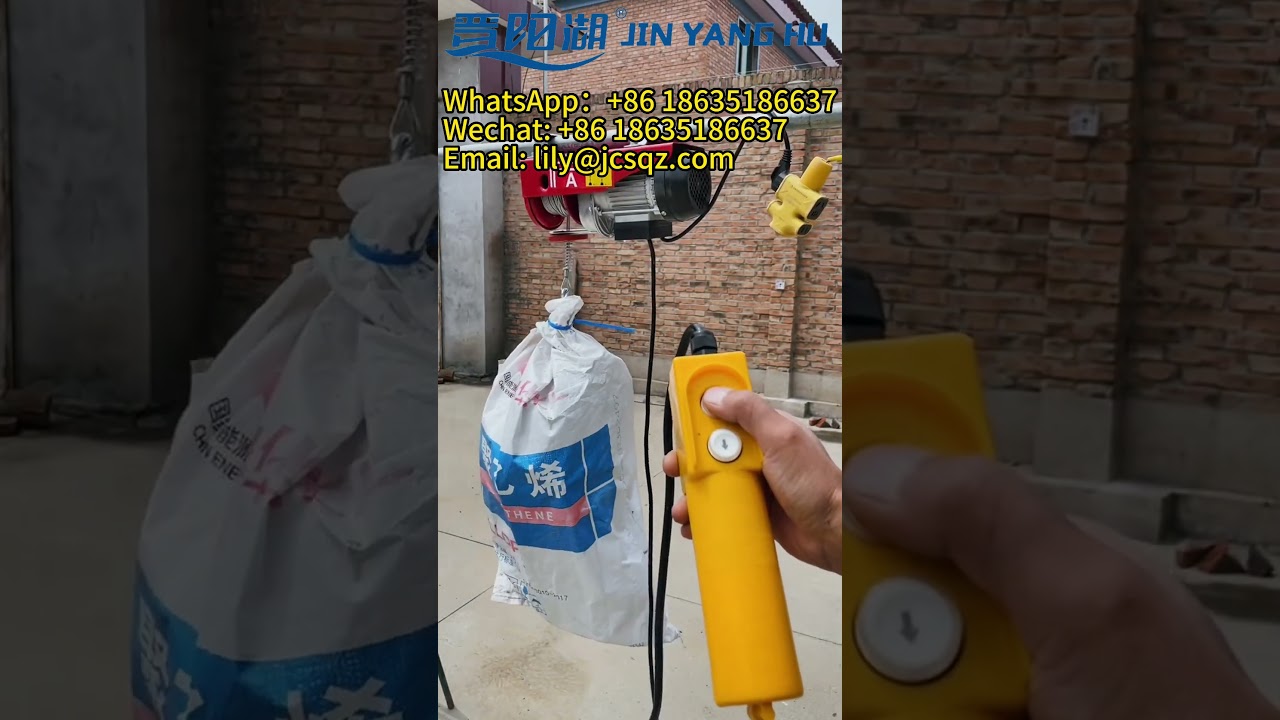 JIN YANG HU Electric Chain Hoist Remote Control Lifting with Hook Motor Lifting Tool Hoist#hoisting