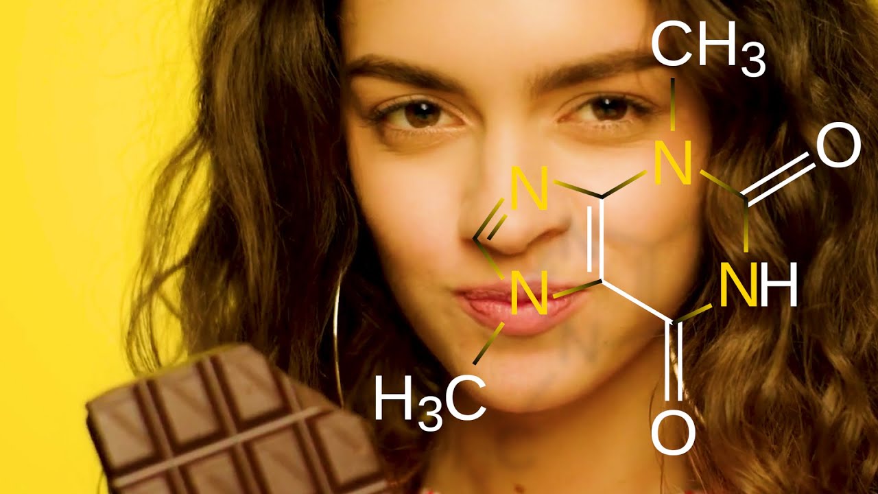 The Science of Chocolate -  Cacao, Theobromine, & Cocoa Butter