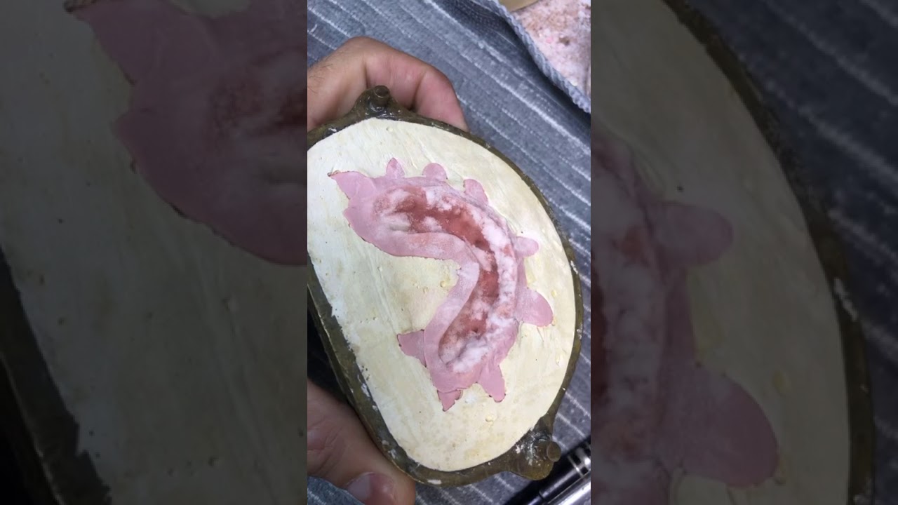 Acrílizacao stg, caracterização stg protocolo ao vivo