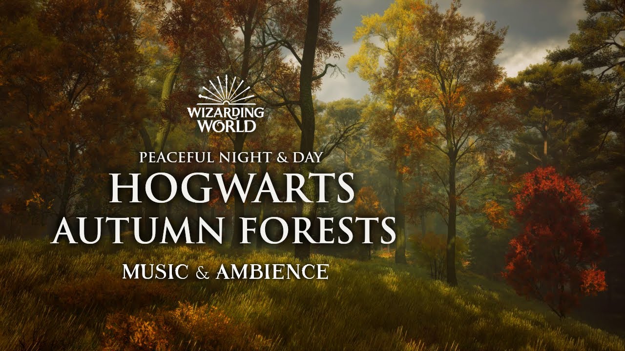 Autumn Forests of Hogwarts🍁 | Peaceful Fall Harry Potter Music & Ambience | 3 Hours