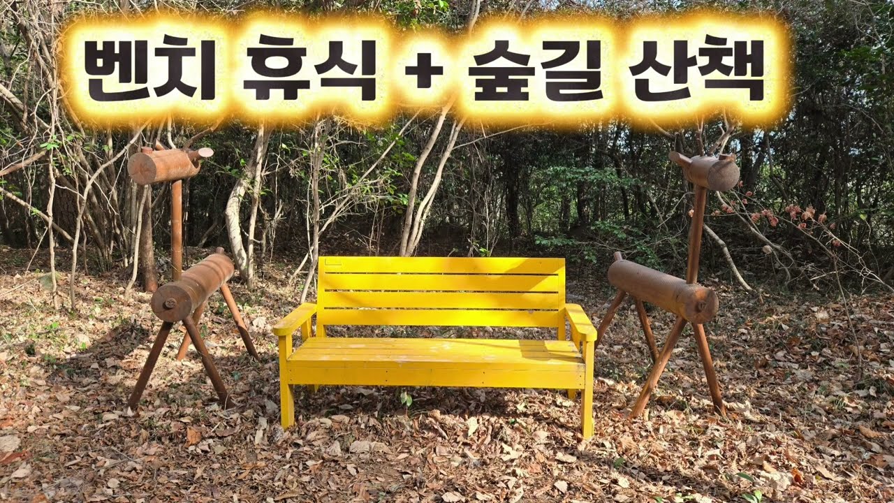 당신에게 휴식이 필요한 순간, 노란 벤치와 숲길​(Healing Nature Sounds for Sleep and Meditation)