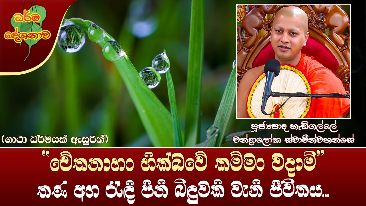 Ven Hadigalle Chandaloka Thero | 2022-05-24 | 01:30 PM (චේතනාහං භික්ඛවේ කම්මං වදාමි...)