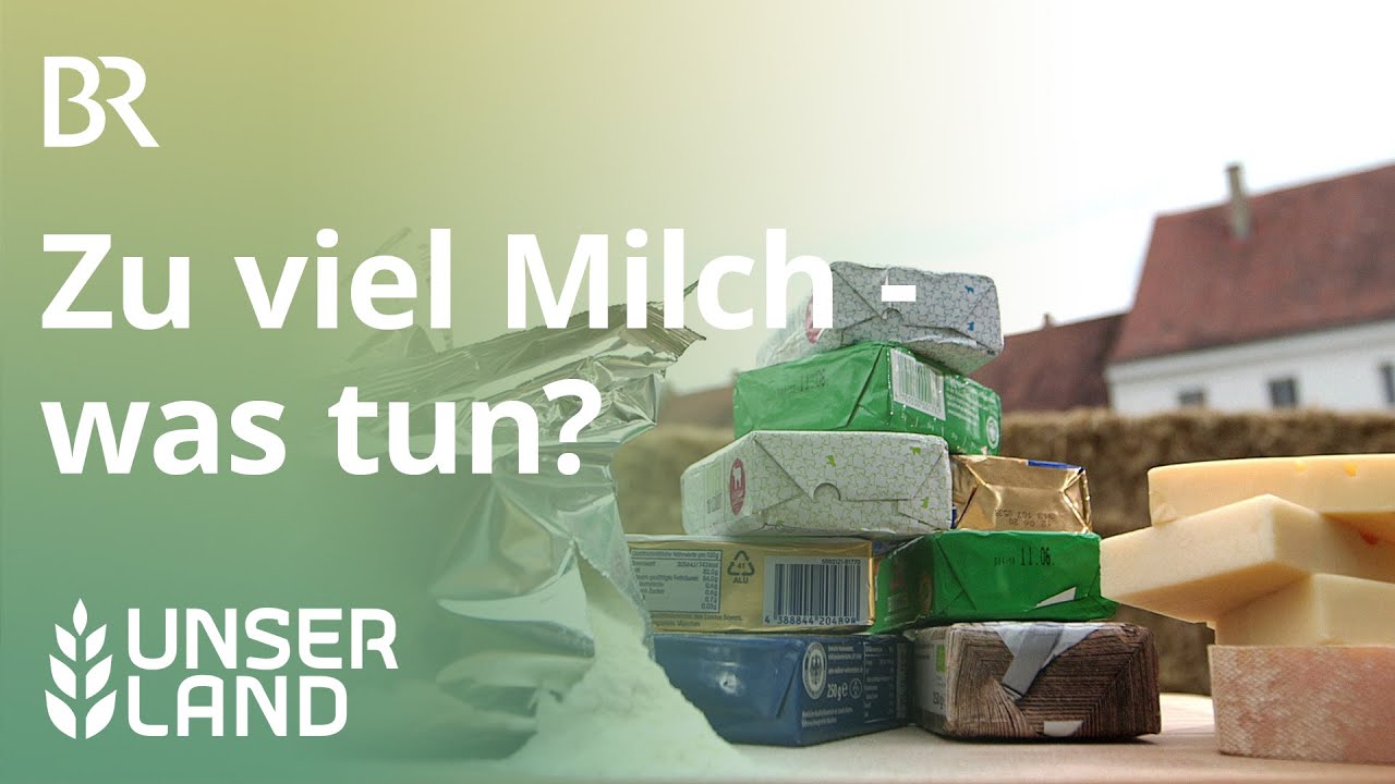 Zu viel Milch: Einlagern oder weniger melken? | Unser Land | BR Fernsehen