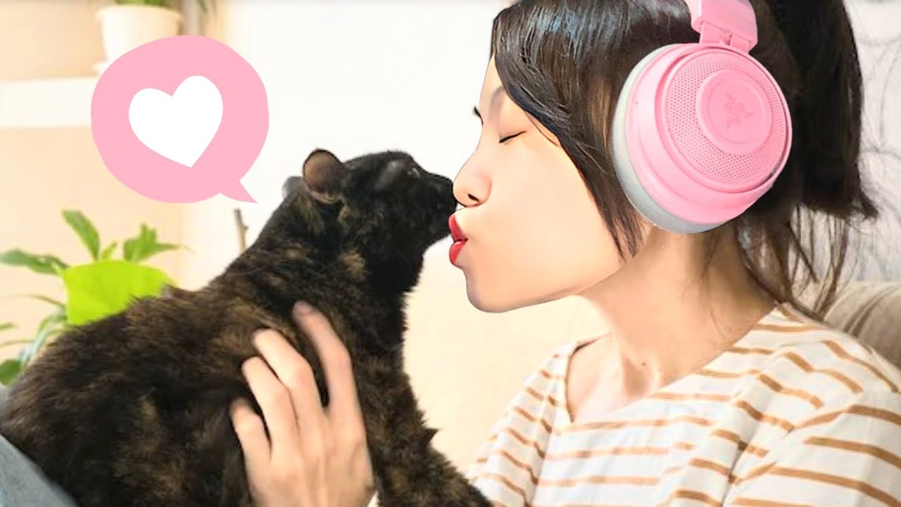 Ini Blackie, Kucing Baru Aku Yang Nakal & Imut! [Little Kitty Big City Indonesia]