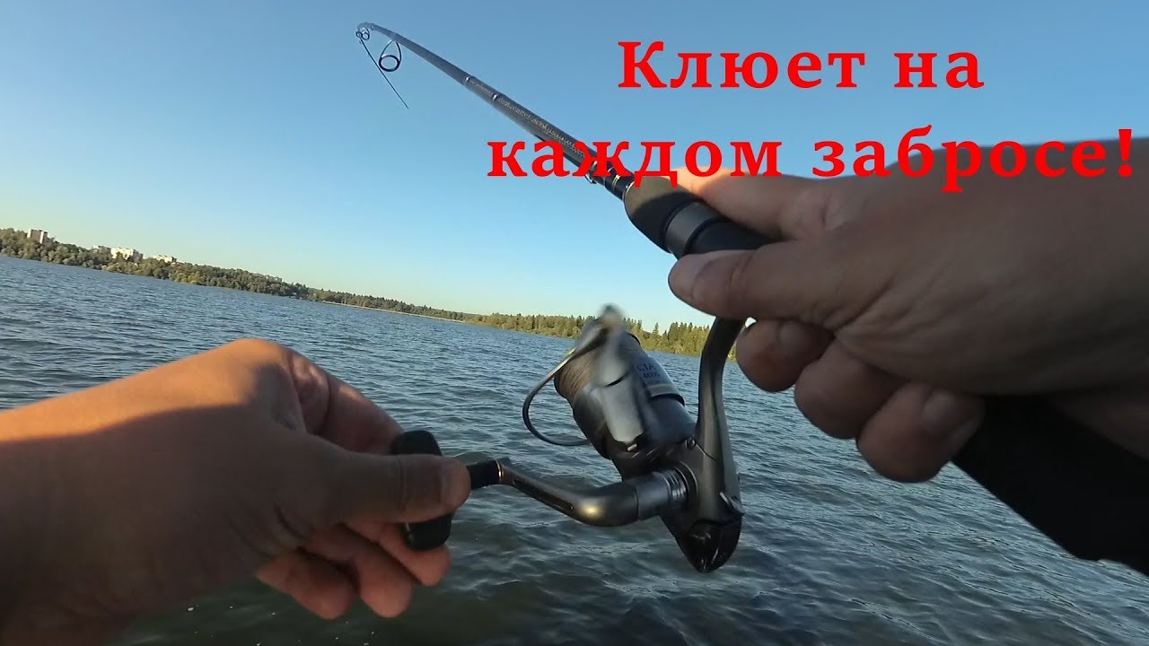 Клюет с каждого заброса! Рыбалка на озере Сенеж + розыгрыш 50 приманок в конце!