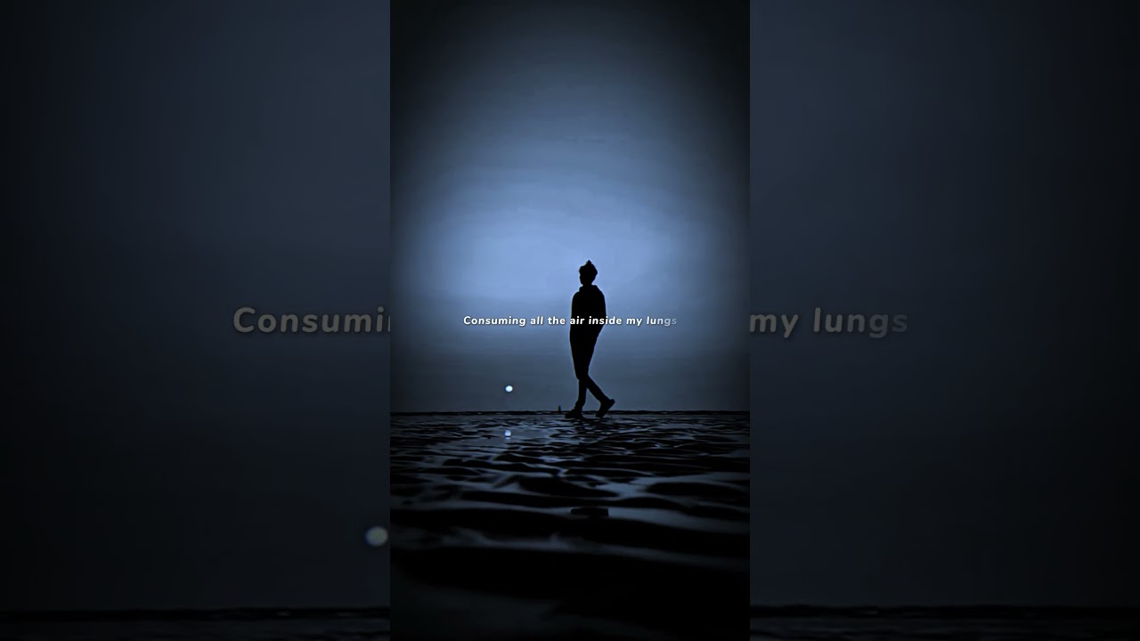 Mercy - Shawn Mendes | lyrics | aesthetic |whatsappStatus | English songs | slowed | speed up 