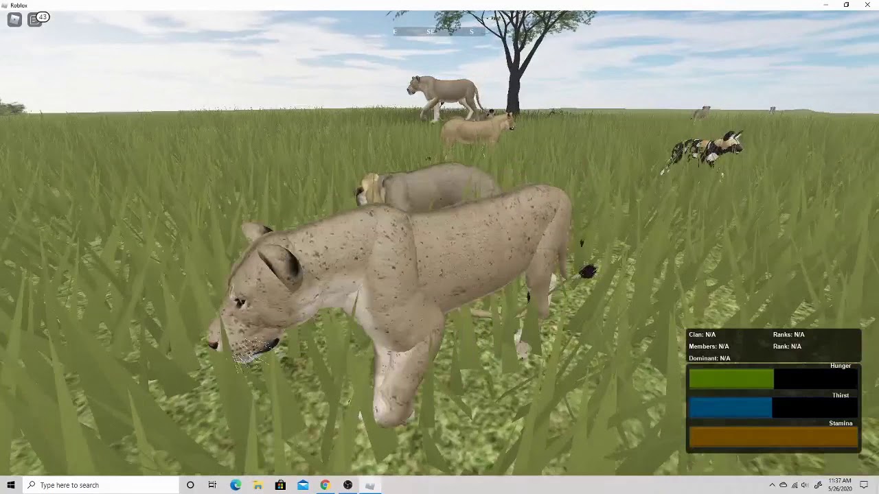 Roblox Testing C