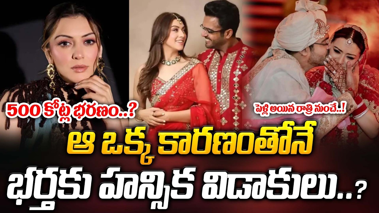 ఆ ఒక్క కారణంతోనే భర్తకు హన్సిక విడాకులు..? 500 కోట్ల భరణం..? | Hansika | ManamTv