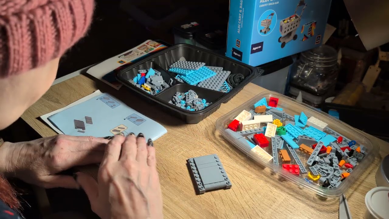 Aldi's Cart and Bag Build