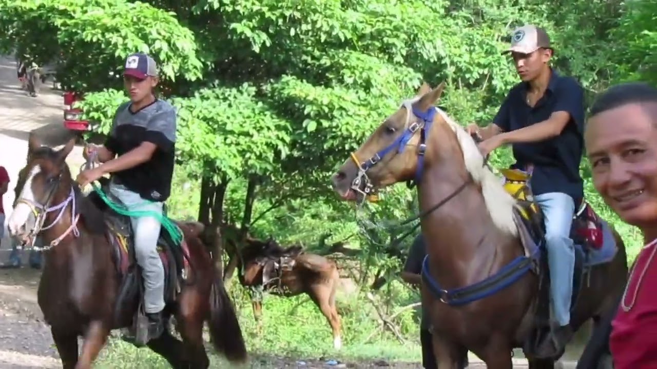 Carrera de cinta a #caballos
