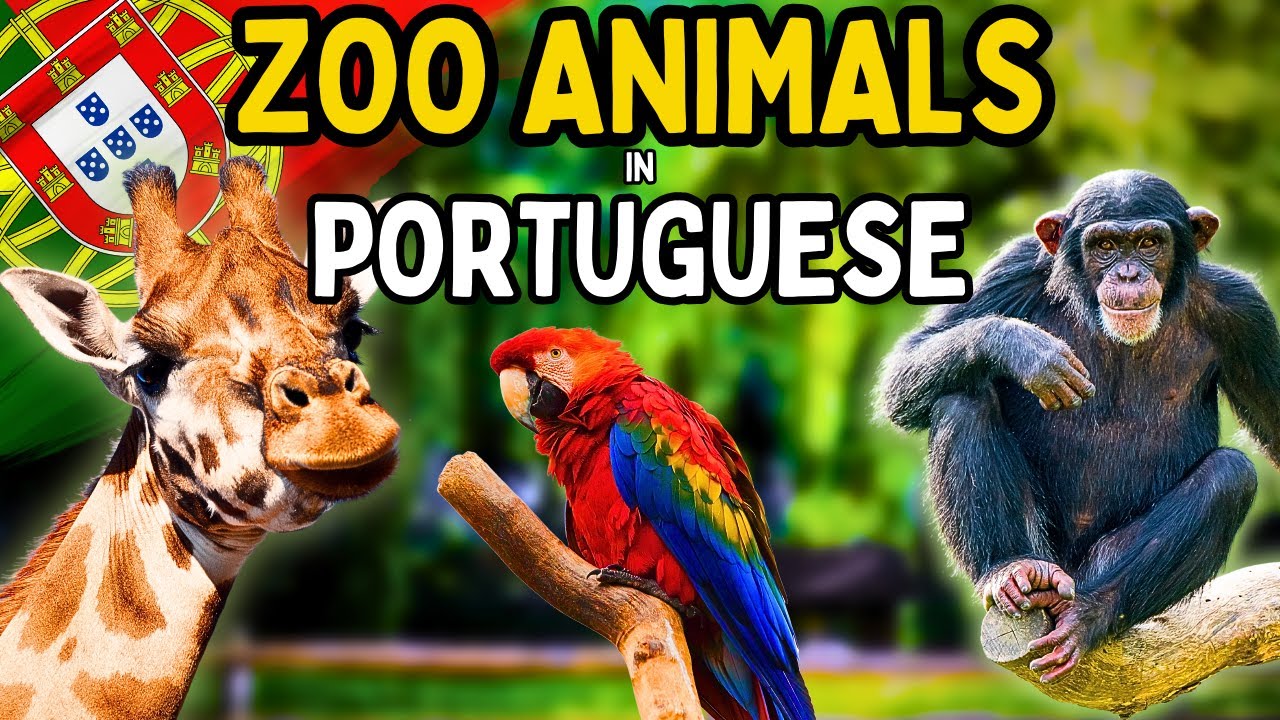 Zoo Animals in Portuguese 🇵🇹 | With Easy Phrases