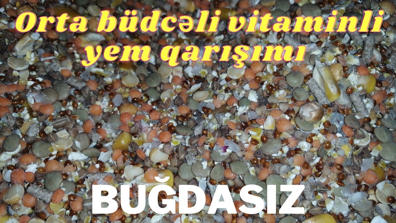 Orta büdcəli vitaminli yem qarışımı (buğdasız)