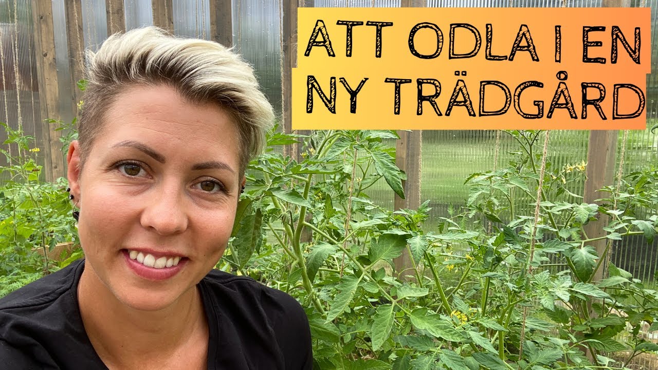 Att börja om i en ny trädgård - jobbigare än vad jag först hade väntat mig