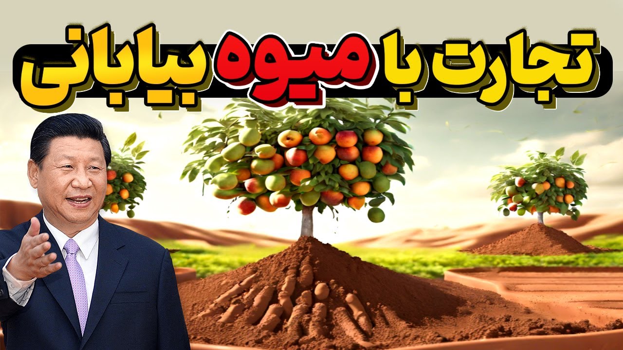 یک زن چینی با کاشت میوه در بیابان میلیون ها دلار کسب کرد!