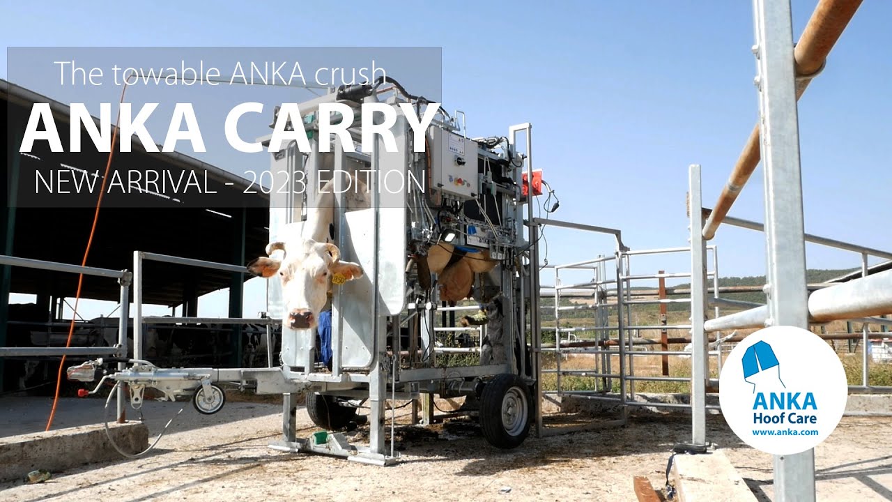 ANKA - The new arrival ANKA CARRY 2023 edition