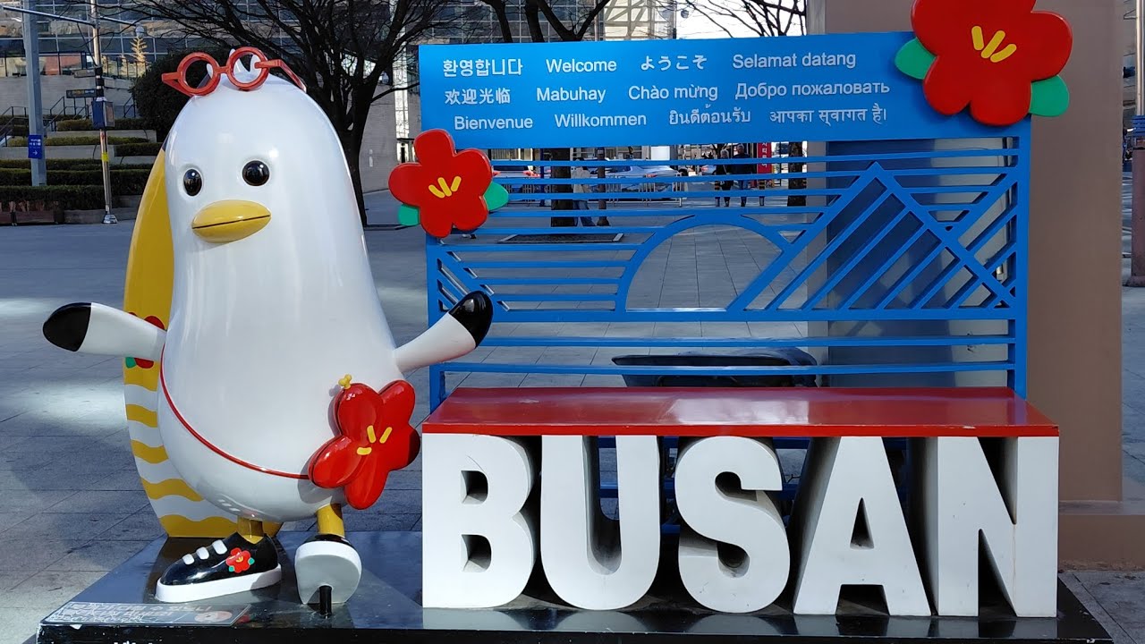 AIDA Weltreise 20260111 #20 Busan