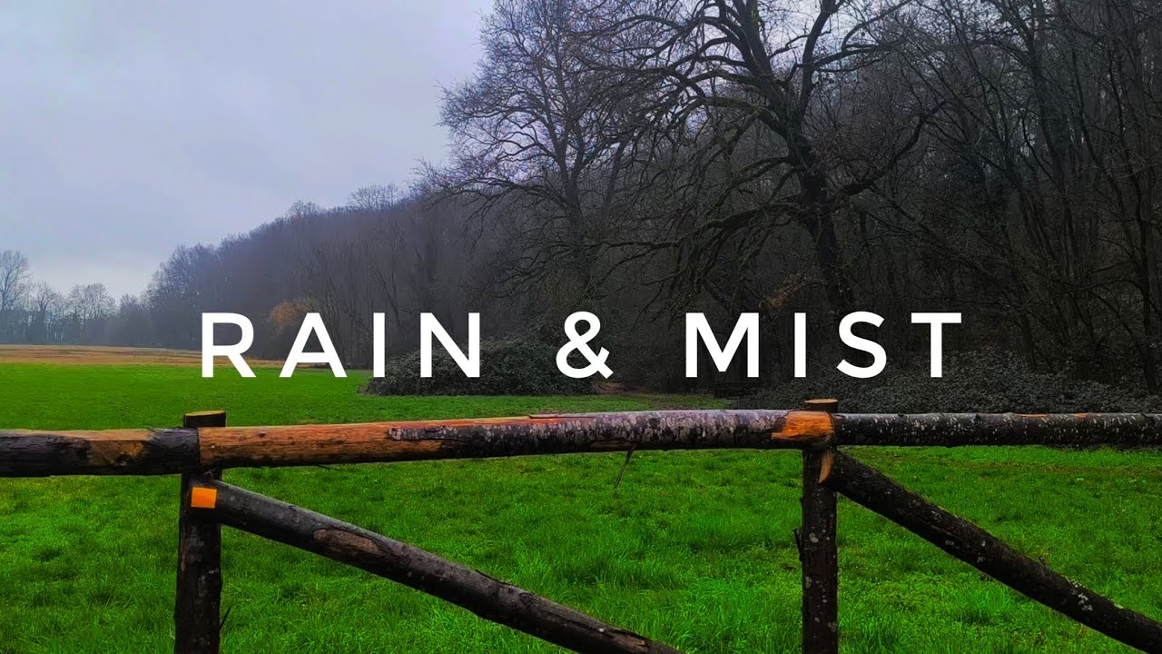 Deep Fog & Gentle Rain: 1 Hour Ambience for Sleep, Study and Relaxation & Deep Focus 