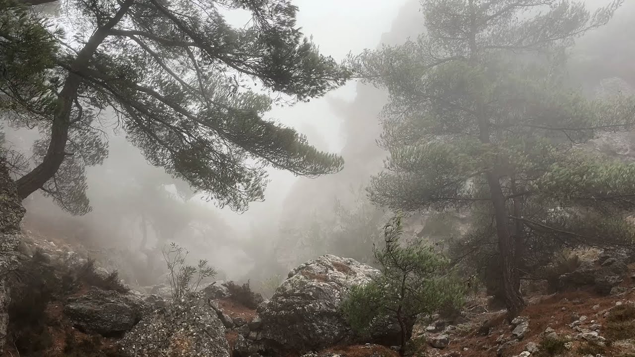 Θρυπτή