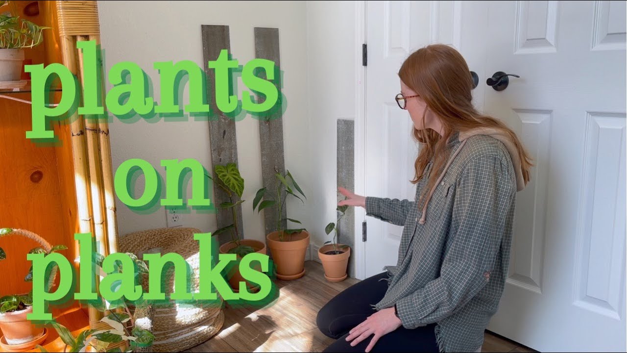 Putting My Plants on Planks | houseplant repot, how to grow plants on planks!