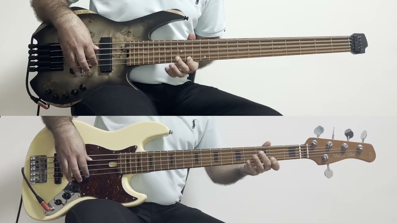 Cort Space 5 vs. Sire V5