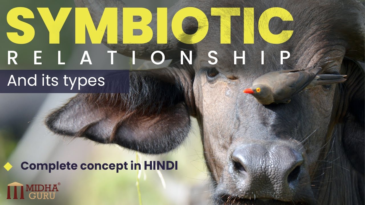 Symbiotic Relationships and its types (In Hindi)
