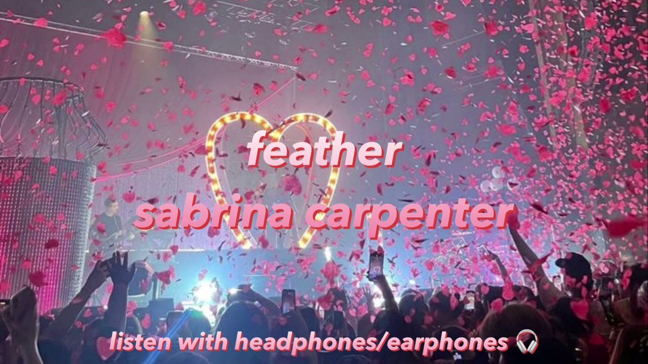 feather in an empty arena