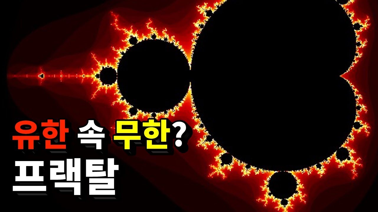혼돈 속 질서, 유한 속 무한?! 신기한 프랙탈