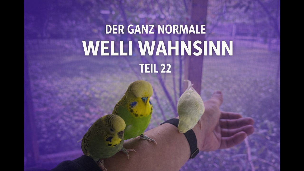 Der ganz normale Welli Wahnsinn Teil 22