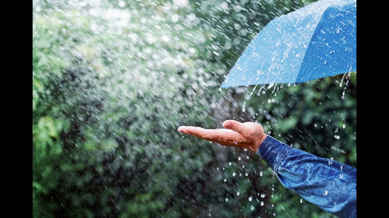 “Pure rainforest rain 🌧️ Let it wash everything away.”