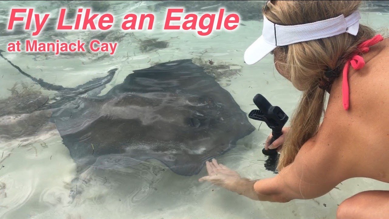 BV11: Fly Like an Eagle at Manjack Cay