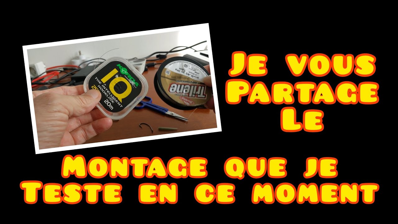 Je vous partage le montage que je teste en ce moment ( peche de la carpe)
