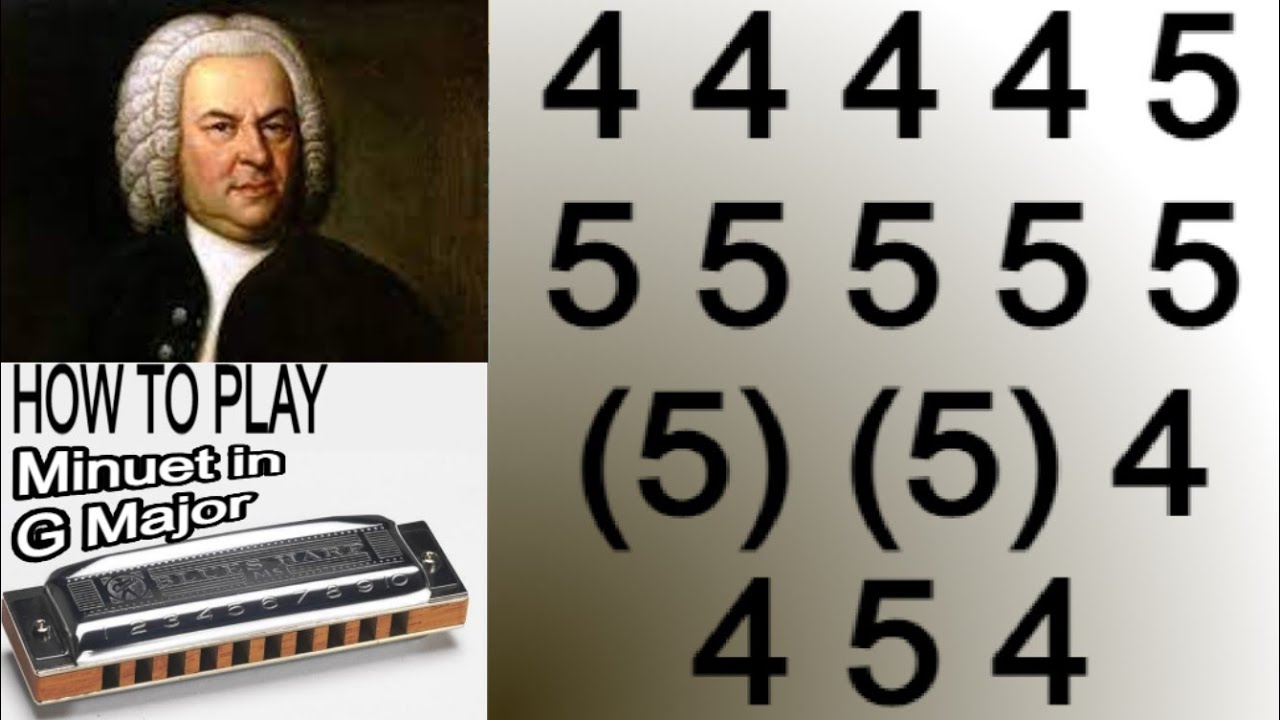 MINUET IN G MAJOR HARMONICA ( C DIATONIC ), ARMÓNICA C, BLUES HARP C, GAITA DE BOCA C, MUNDHARMONIKA