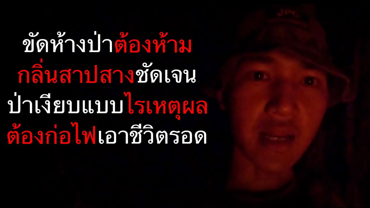 คลิปเดินป่า ตอนที่ 99  (อีก 1 ประสบการณ์ชีวิตกลางดงพงไพร)