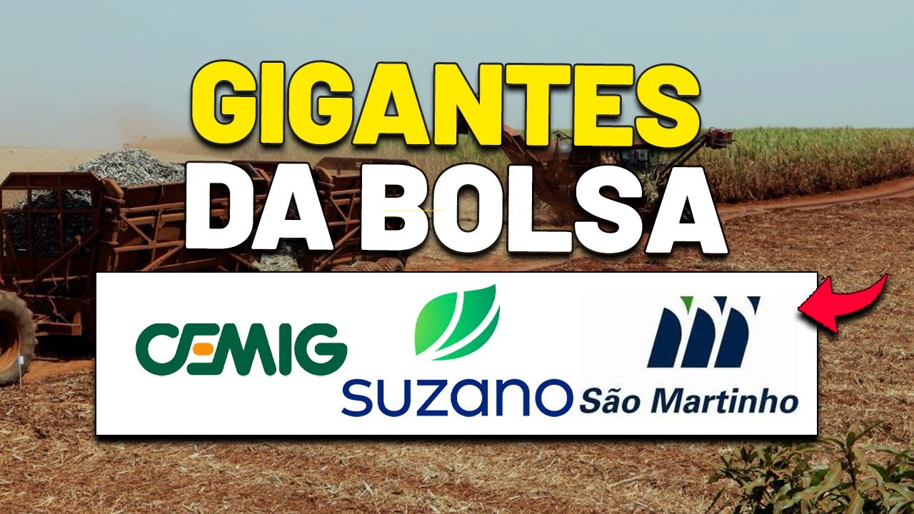 3 GIGANTES da BOLSA: CEMIG, SUZANO e S&Atilde;O MARTINHO | CMIG4, SUZB3 e SMTO3
