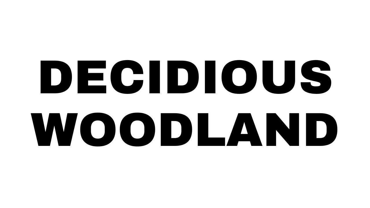 What is Decidious Woodland in Hindi | Decidious Woodland kya hota hai | Geography terms