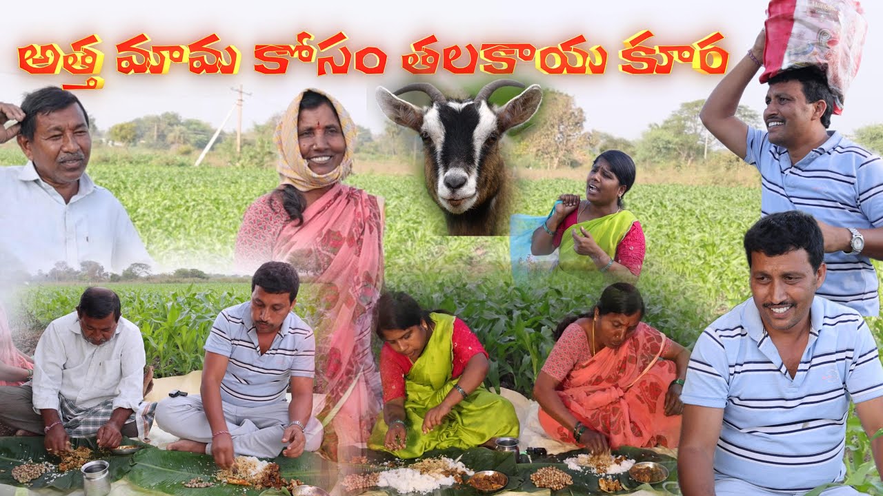 అత్త మామకోసం తలకాయ కూర || Village Comedy SKIT #VILLAGE MKTV# MKTV SKIT#516