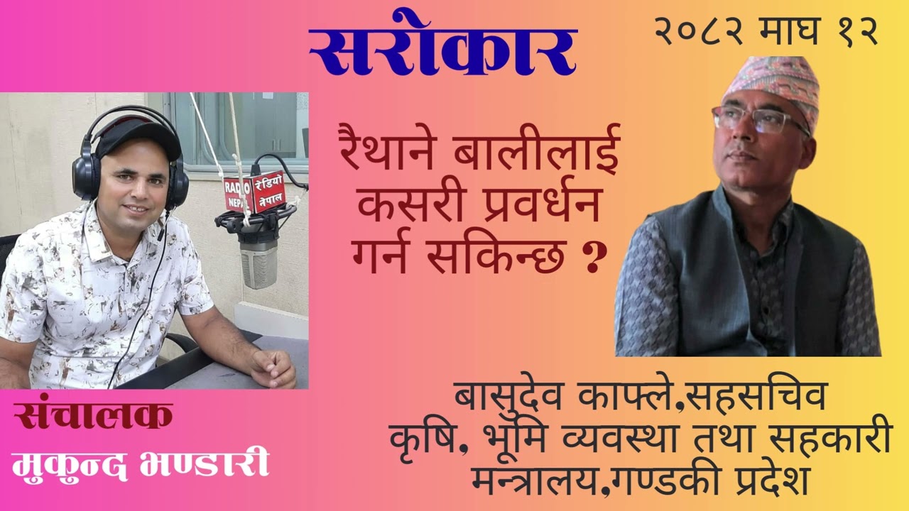 रैथाने बालीलाई कसरी प्रवर्धन गर्न सकिन्छ? Sarokar / Mukund bhandari /basudev kafle// मुकुन्द भण्डारी