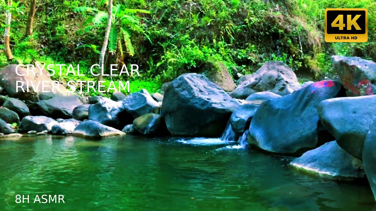 Crystal Clear River Stream 8H ASMR | Deep Sleep & Study Focus Water Sounds (4K UHD)