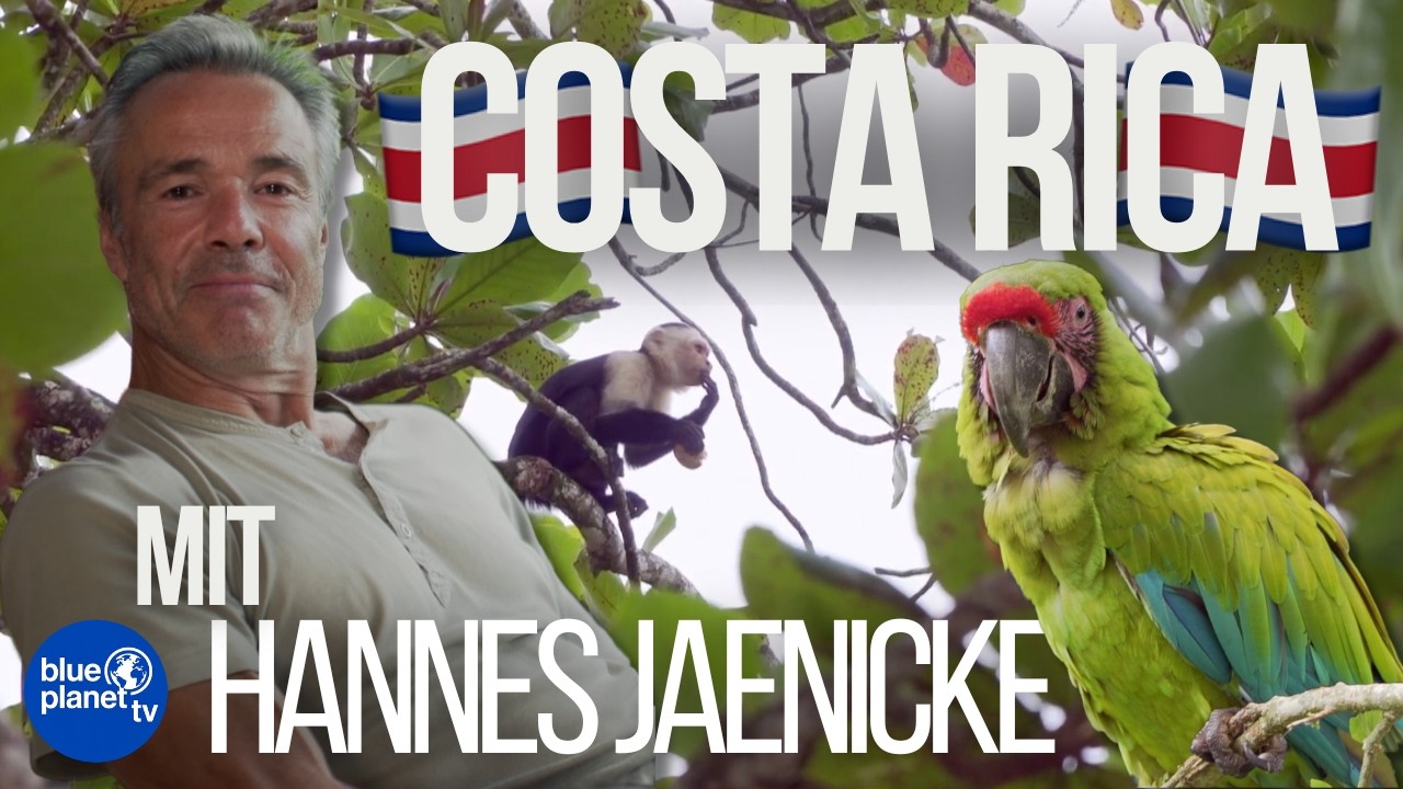 Das grüne Wunder: Hannes Jaenickes großes Costa Rica Abenteuer 🇨🇷🛶