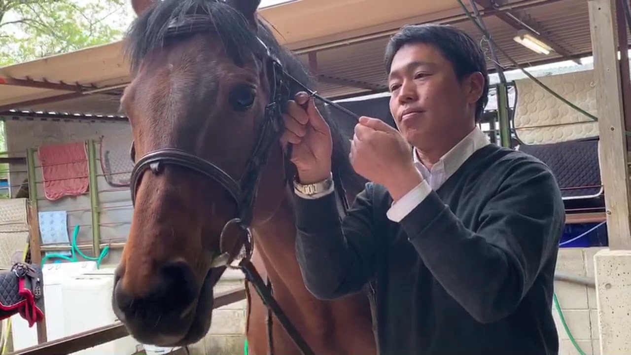 乗馬クラブ　エルミオーレ　馬装Move（頭絡編）