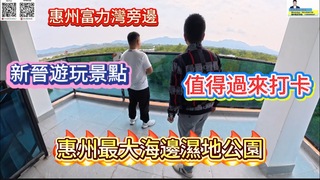 新晉遊玩景點|惠州最大濕地公園|距離富力灣10分鐘|5年後富力灣就係甘樣個景#濕地公園#紅樹林公園#富力灣#十里銀灘#房產#惠州房產 #大灣區樓盤 