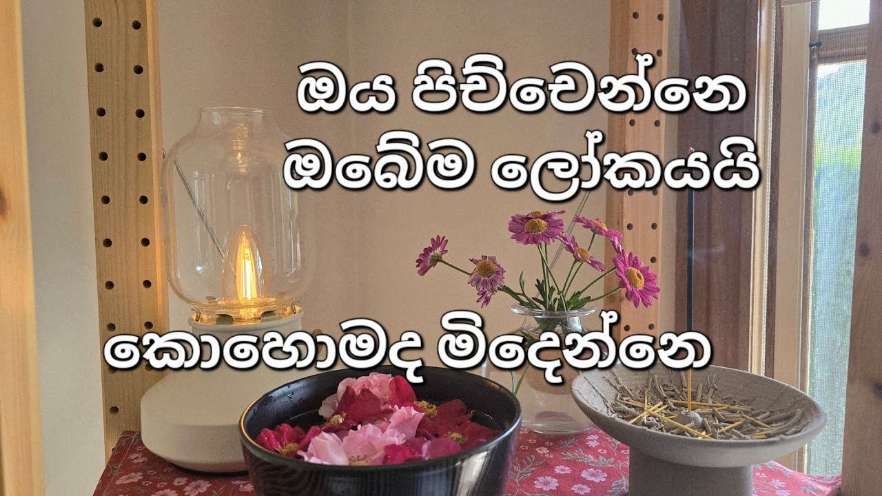 How to stay happy in everyday life l ගින්න නිවා ගන්නෙ කොහොමද?