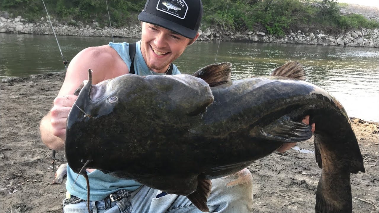 The Greatest Night of Flathead Fishing I've Ever Seen!!! (Fishing with Legends)