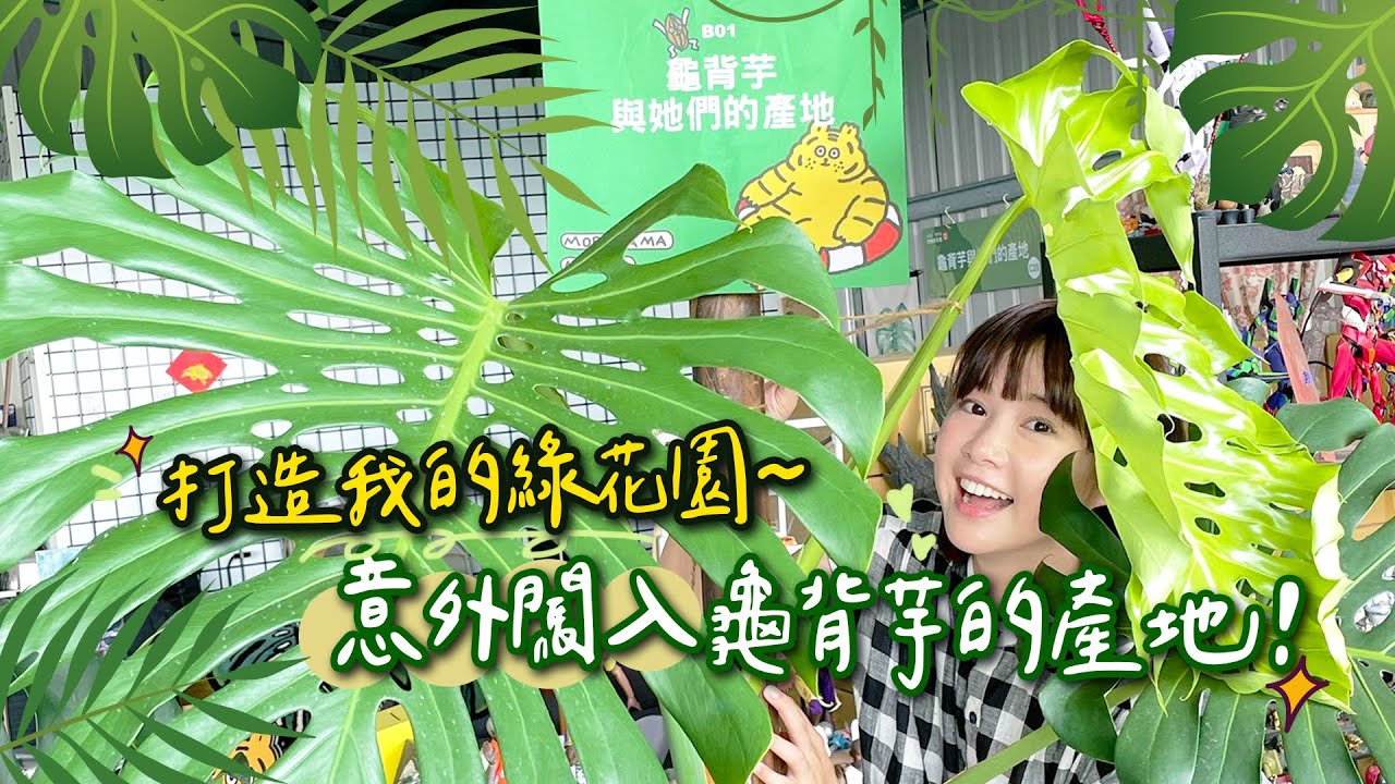 意外闖入龜背芋的產地！打造我的綠花園！🌼李佳穎