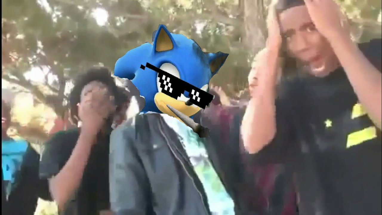 Подборка Sonic Roasts