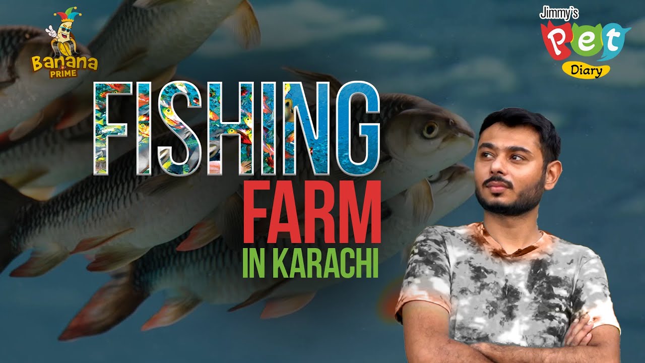 Fishing Farm In karachi | Episode #13 | Jimmy’s Pets Diary | Banana Prime