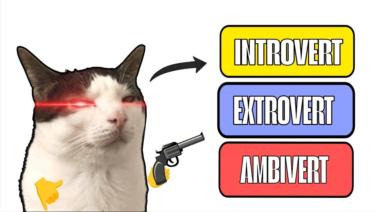 Are You Really an Introvert?