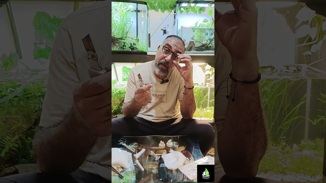كيفية عمل ثاني أكسيد الكربون  CO2 في المنزل بطريقة سهلة وتكاليف بسيطة ووقت قصير 