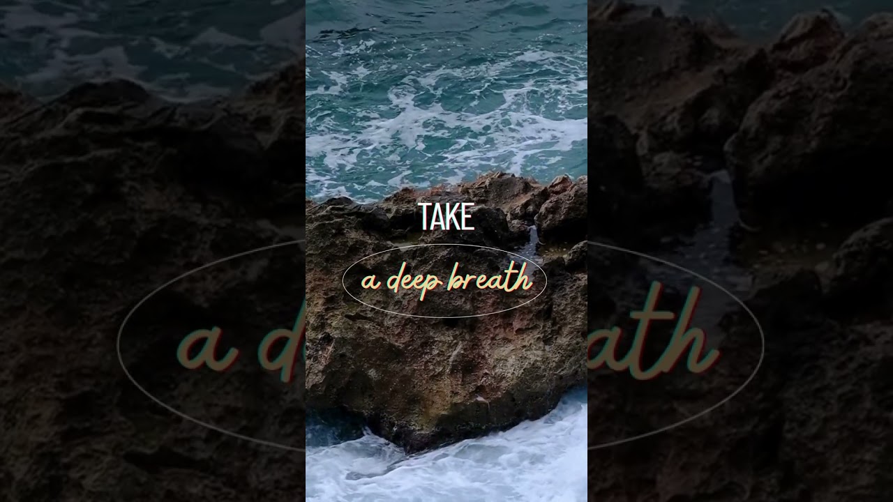 Calm Ocean Moment 🌊